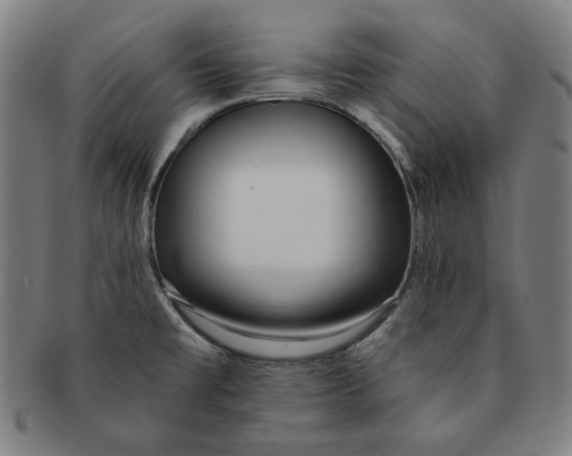X0000090951477200708301128