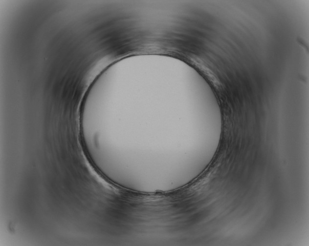 X0000090951479200708301128