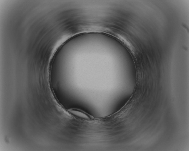 X0000090951480200708301128