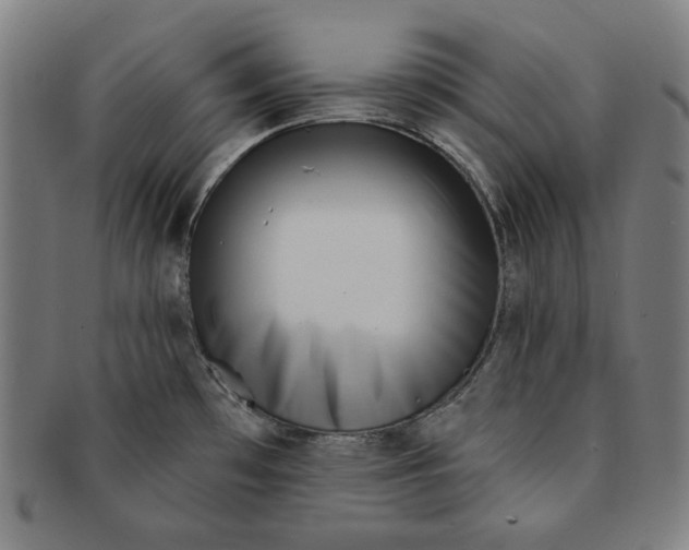 X0000090951481200708301128