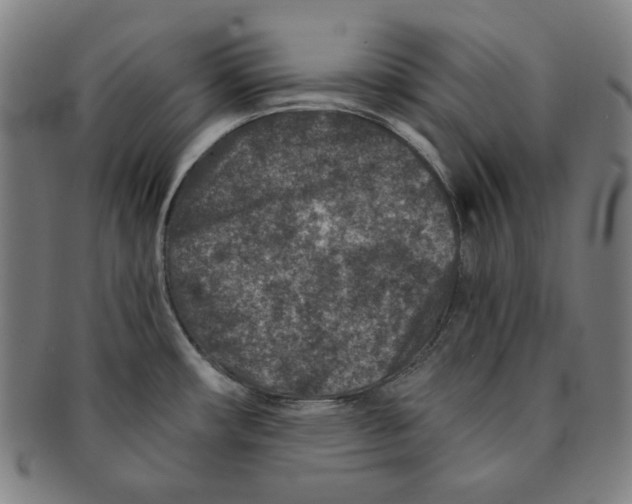X0000090951482200708301128