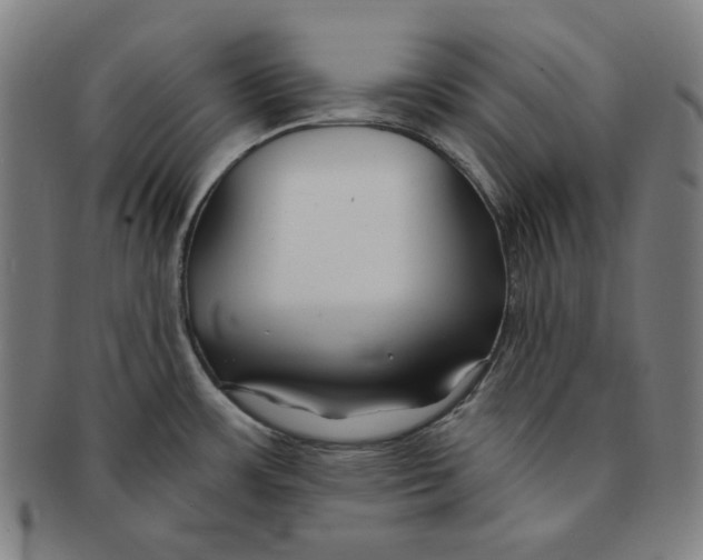 X0000090951483200708301128