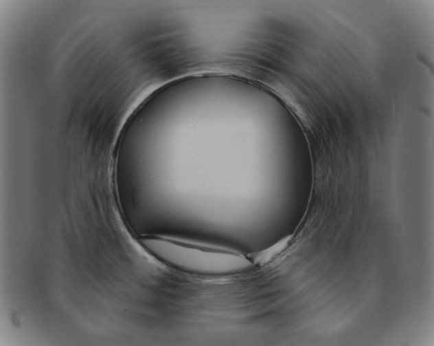 X0000090951484200708301128