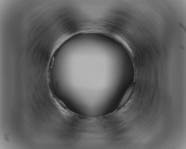 X0000090951485200708301128
