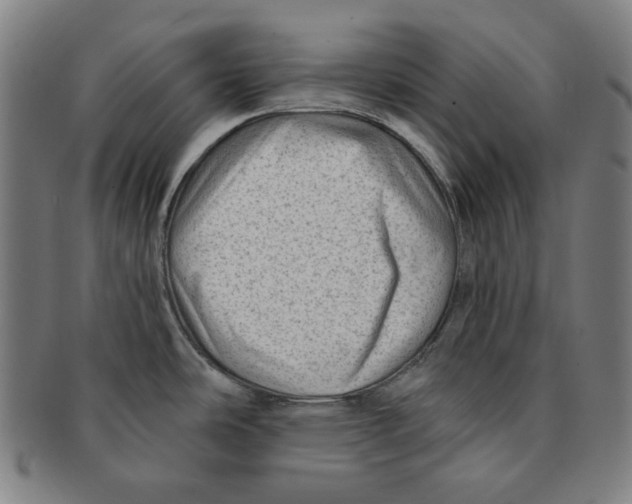 X0000090951486200708301128