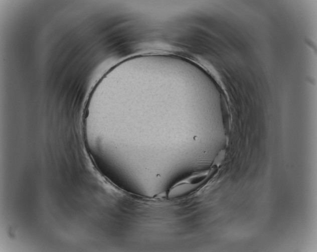 X0000090951488200708301128
