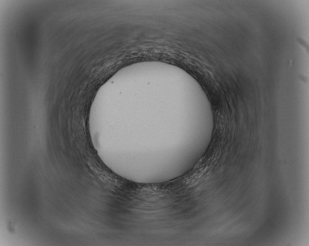 X0000090951489200708301127