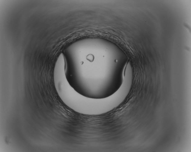 X0000090951490200708301127
