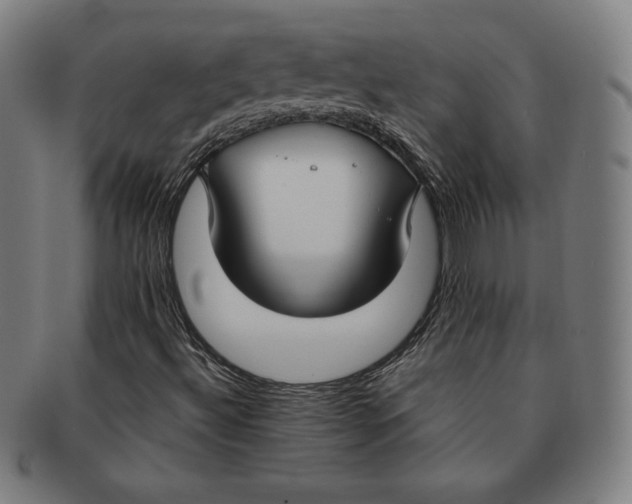 X0000090951492200708301127