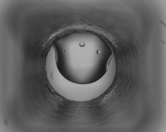 X0000090951494200708301127