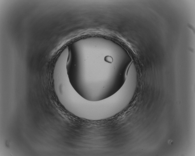 X0000090951496200708301127