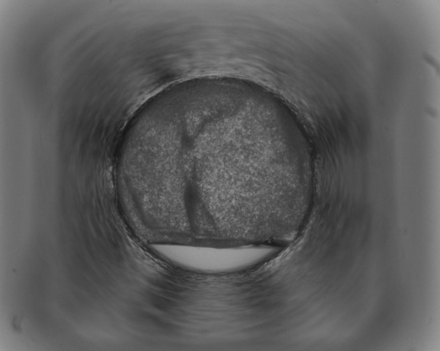 X0000090951497200708301127