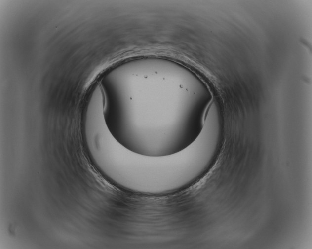 X0000090951498200708301127