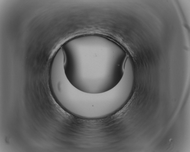 X0000090951500200708301127