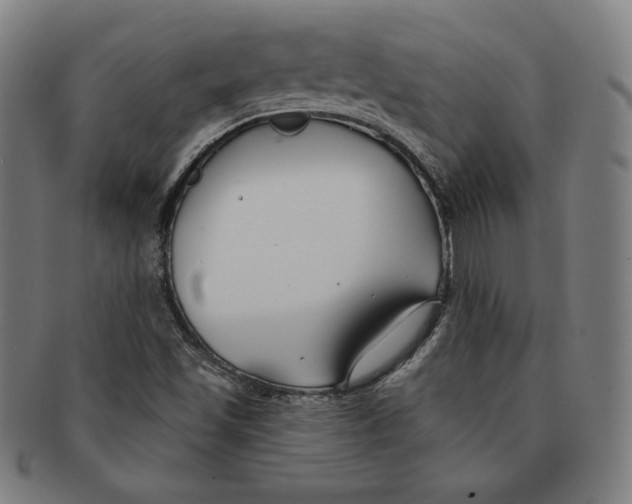 X0000090951501200708301127