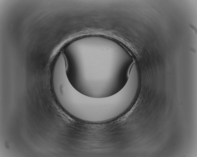 X0000090951502200708301127