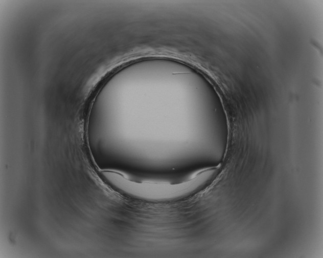 X0000090951503200708301127