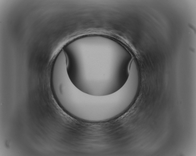X0000090951504200708301127