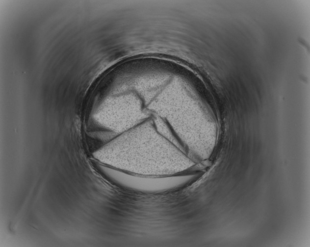 X0000090951505200708301127
