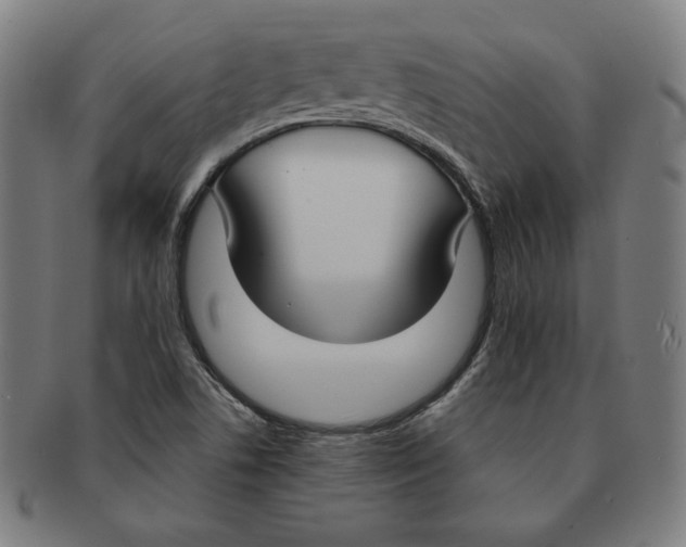 X0000090951506200708301127