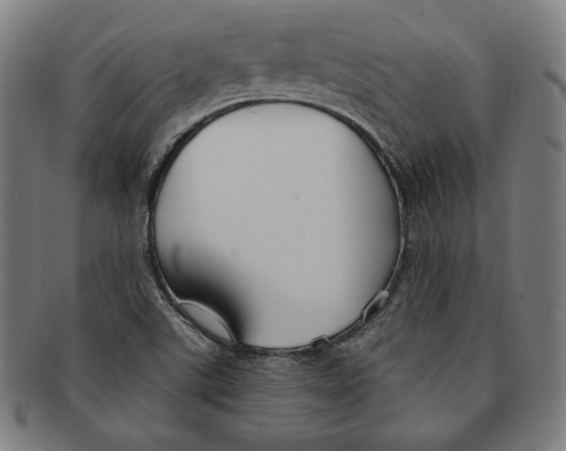 X0000090951507200708301127