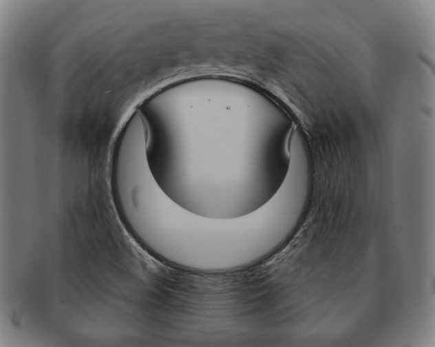 X0000090951508200708301127