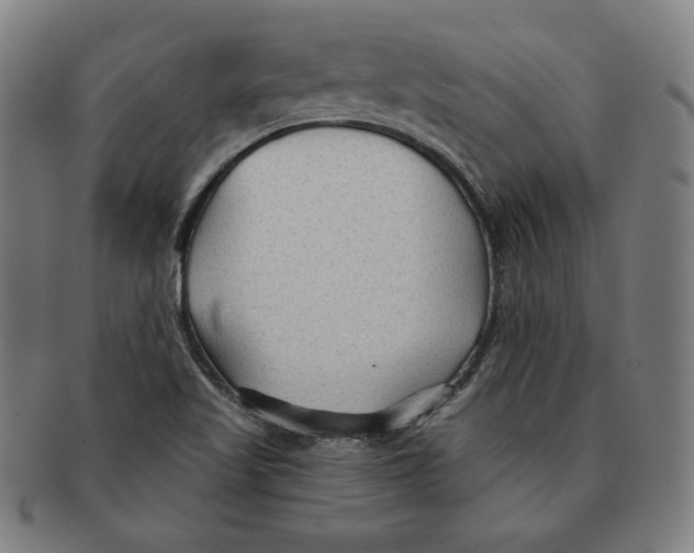 X0000090951509200708301127