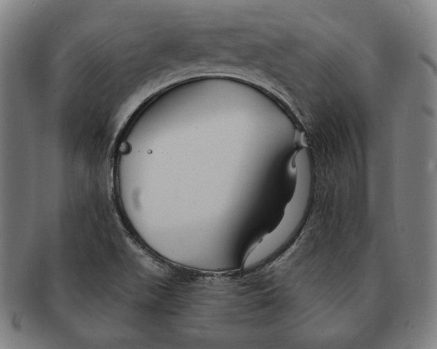 X0000090951511200708301128