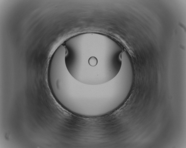 X0000090951512200708301128