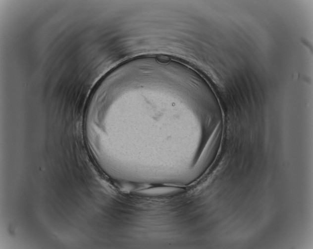 X0000090951513200708301128
