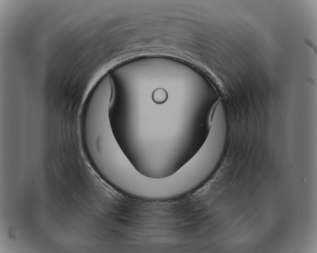 X0000090951514200708301128