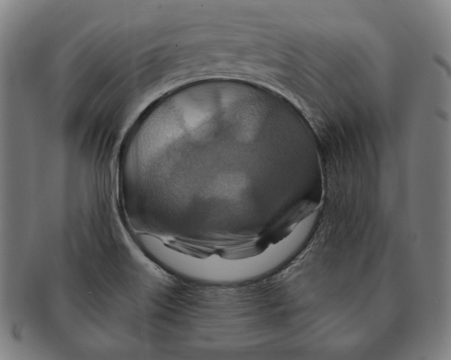 X0000090951515200708301128