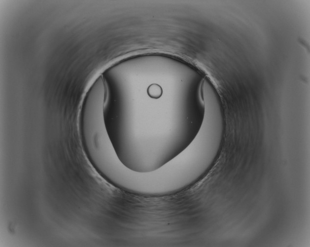 X0000090951516200708301128