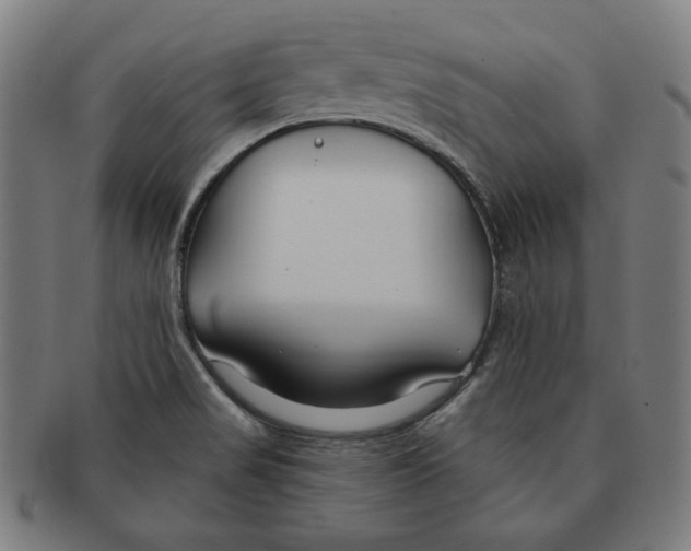 X0000090951517200708301128