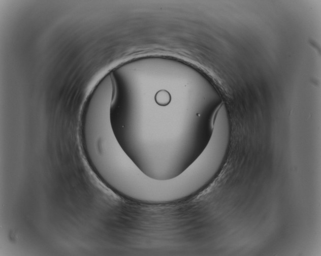 X0000090951518200708301128