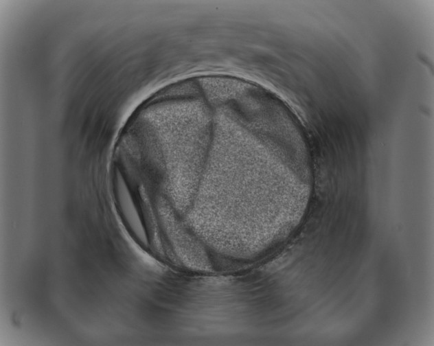 X0000090951519200708301128