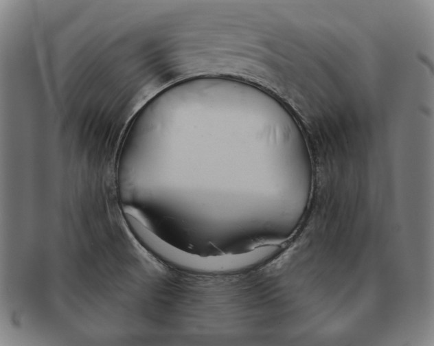 X0000090951521200708301128