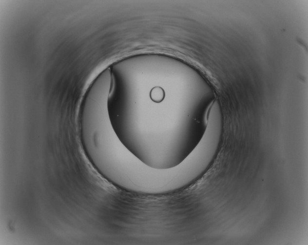 X0000090951522200708301128