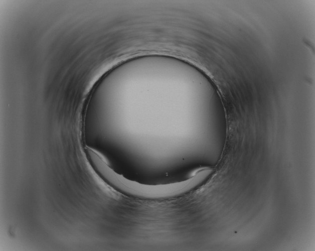 X0000090951523200708301128