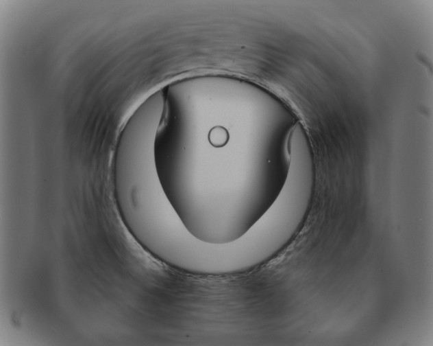 X0000090951524200708301128