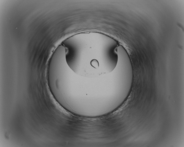 X0000090951526200708301128