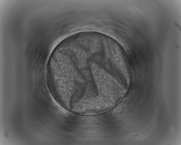 X0000090951527200708301128