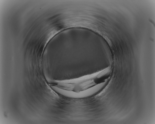 X0000090951529200708301128