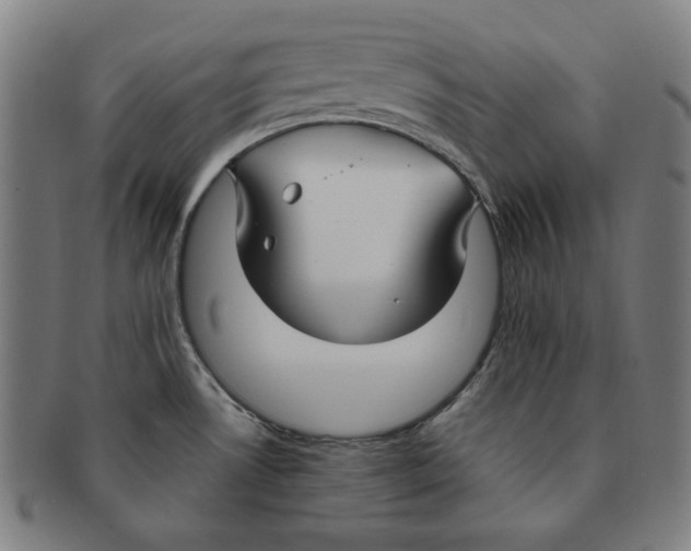 X0000090951530200708301128
