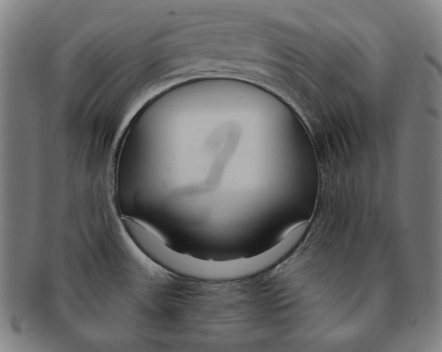 X0000090951531200708301128