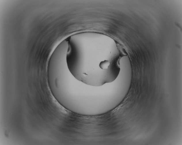 X0000090951532200708301128