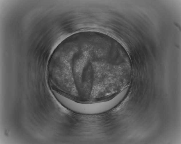 X0000090951533200708301128