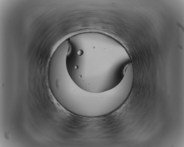 X0000090951534200708301128