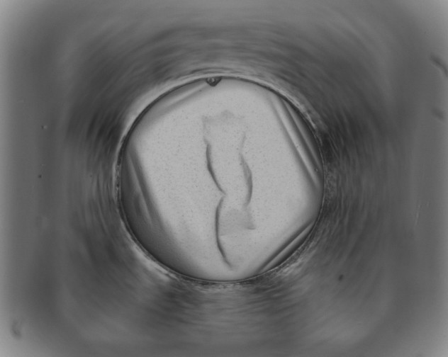 X0000090951535200708301128