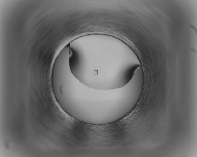 X0000090951536200708301128
